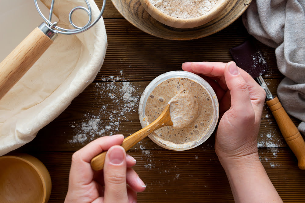 Everything you need to know about Sourdough Starters